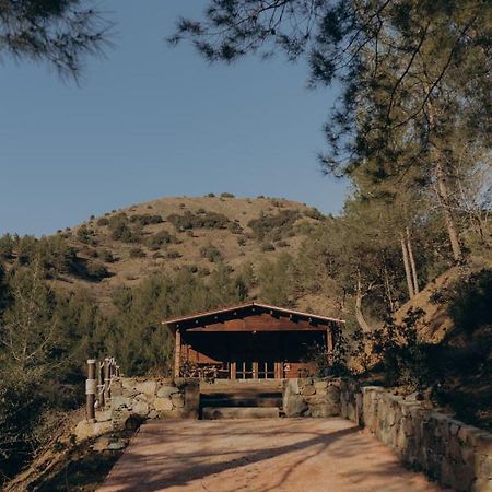 Bosco Paradiso ลิมาซอล ภายนอก รูปภาพ