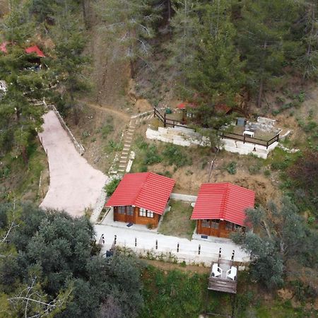 Bosco Paradiso ลิมาซอล ภายนอก รูปภาพ