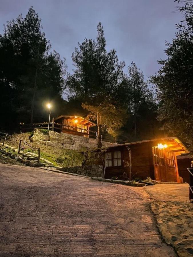 Bosco Paradiso ลิมาซอล ภายนอก รูปภาพ