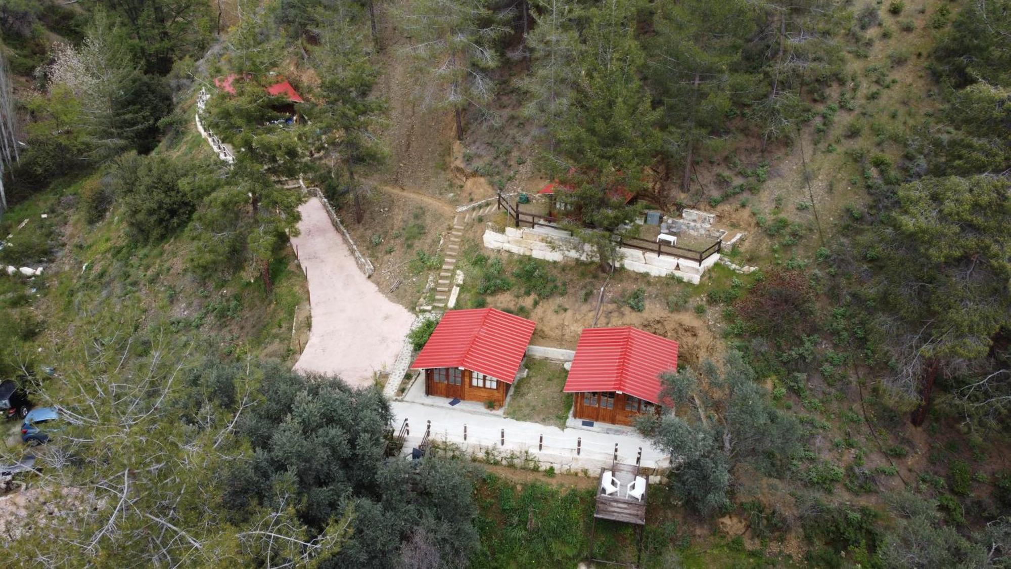 Bosco Paradiso ลิมาซอล ภายนอก รูปภาพ